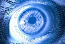 The Evolving Landscape of Cyber Threats: Trends and Strategies for 2024 surinder nijjer