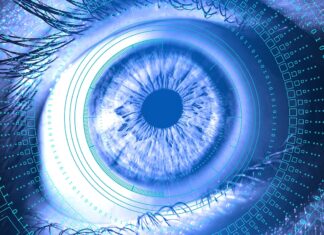 The Evolving Landscape of Cyber Threats: Trends and Strategies for 2024 surinder nijjer